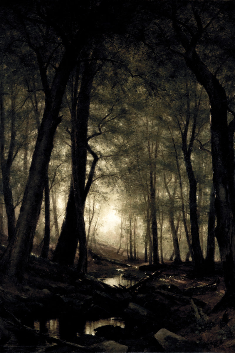 Forest Vintage Dark Academia Aesthetic Style Poster