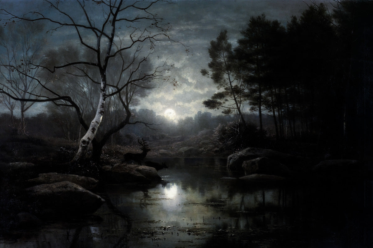 Wild Forest In The Night Dark Academia Vintage Poster