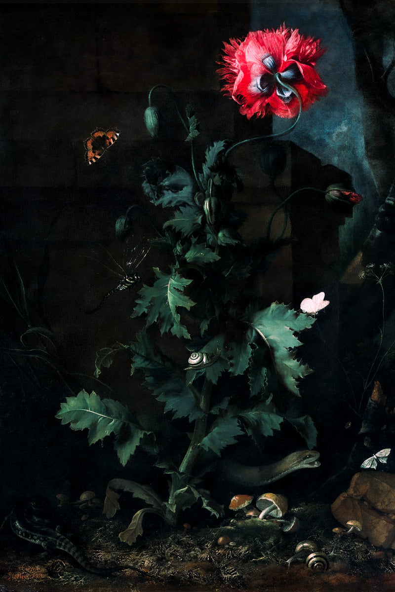 Flowers With Butterfly Dark Academia Vintage Aethetic Poster - xonomax