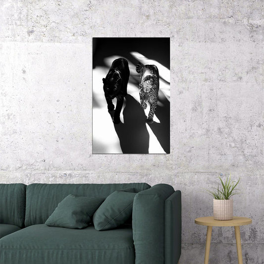 Black and White Leopard And Panther Poster Big Cat Wall Art Wild Leopard Wall Decor Print Artwork - xonomax