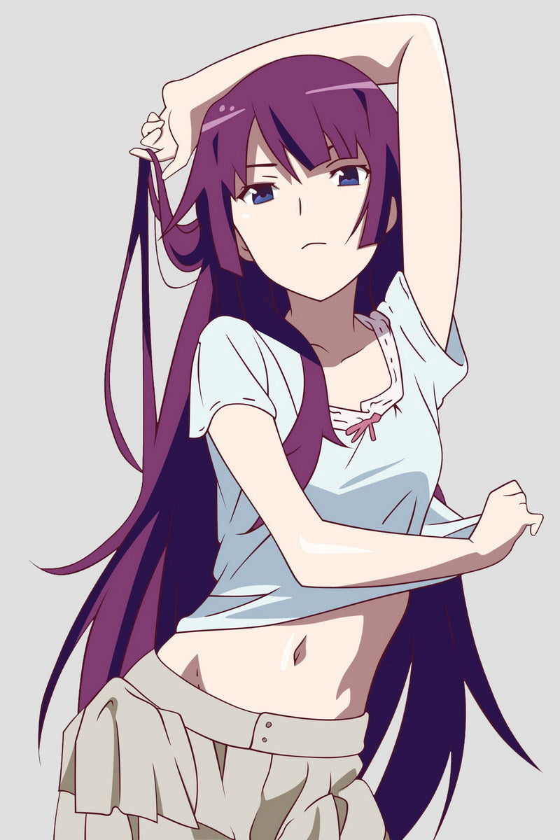 Monogatari Bakemonogatari Nisemonogatari Senjougahara Hitagi Series Supernatural Romance Anime Poster Manga Art - xonomax