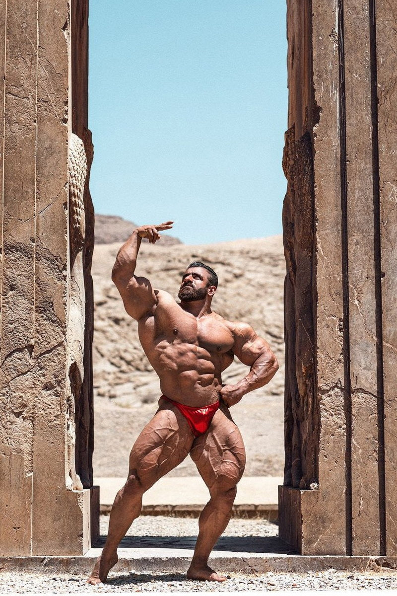Hadi Choopan Greek Statue Pose Famous Bodybuilder Poster Bodybuilding Workout HD Photo Print