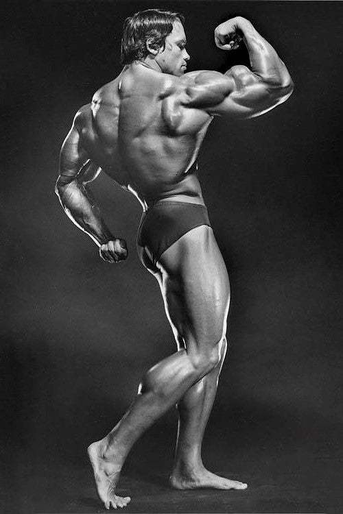 Arnold Schwarzenegger Old School Bodybuilding Icon Poster Famous Bodybuilder HD Photo Print - xonomax
