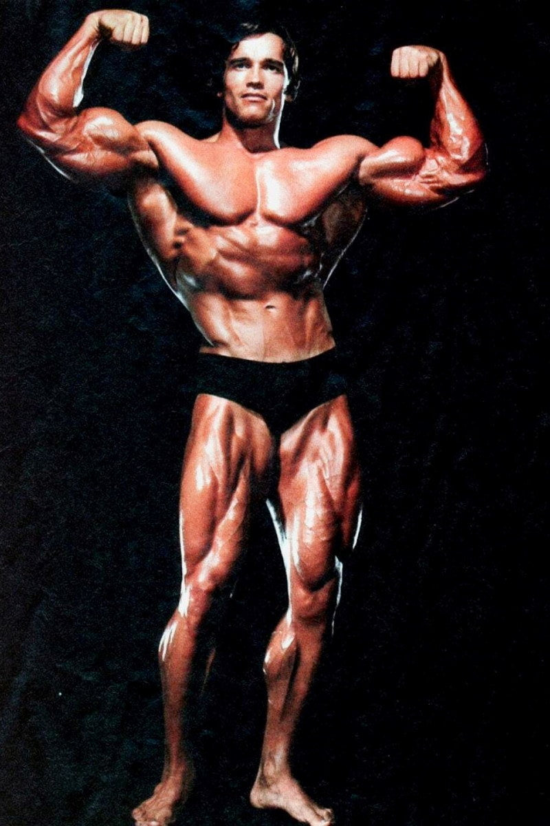 Arnold Schwarzenegger Old School Bodybuilding Icon Poster Famous Bodybuilder HD Photo Print
