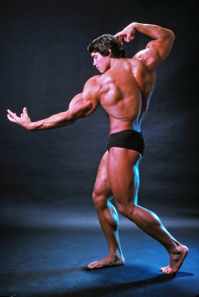 Arnold Schwarzenegger Old School Bodybuilding Icon Poster Famous Bodybuilder HD Photo Print