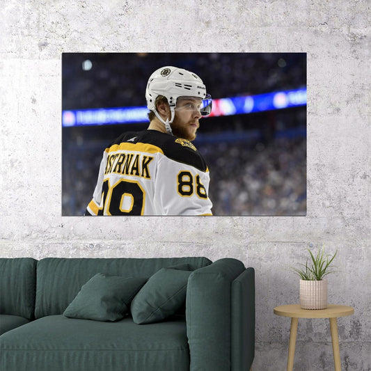 David Pastrnak Famous USA Hockey Player Poster North America Hockey HD Photo Print - xonomax