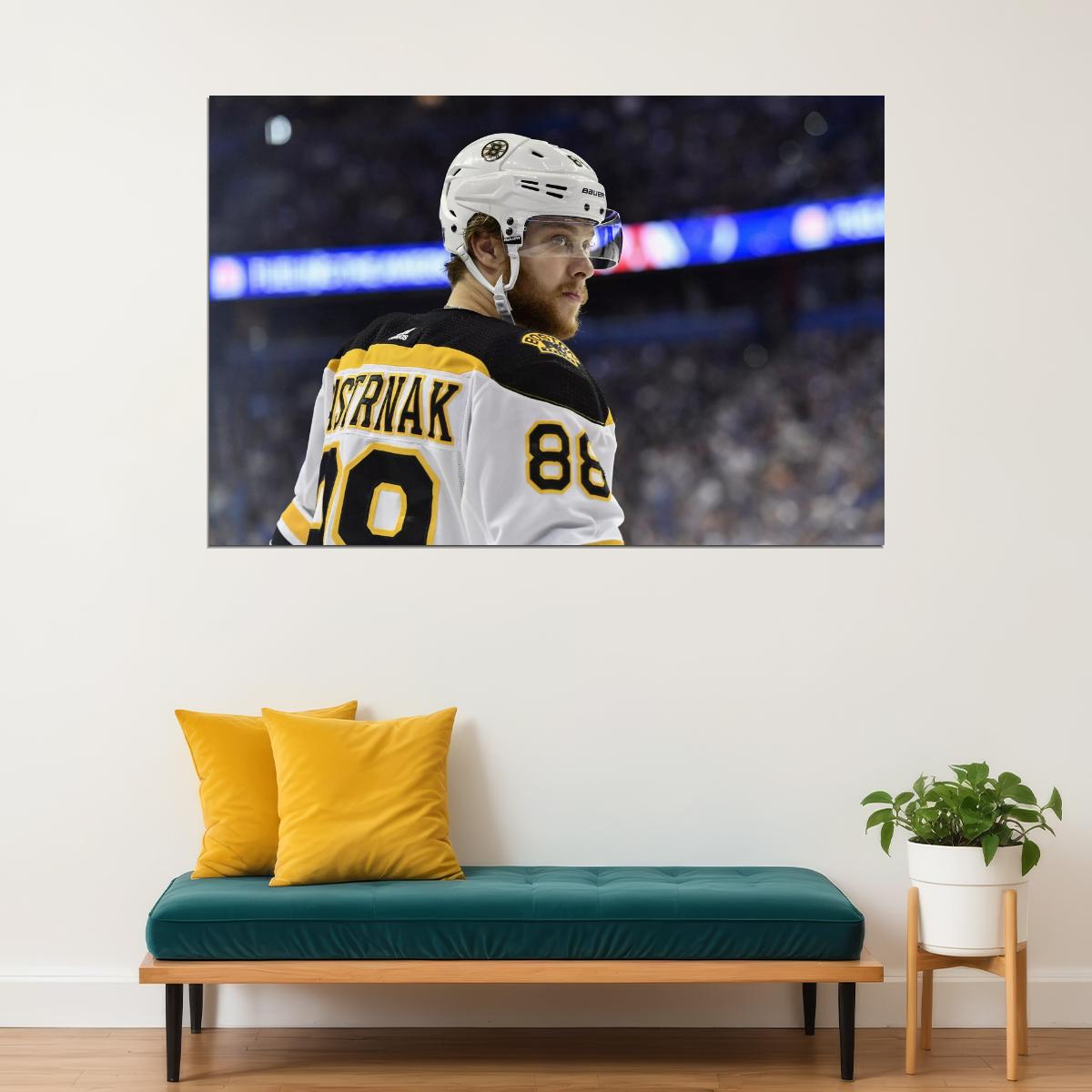 David Pastrnak Famous USA Hockey Player Poster North America Hockey HD Photo Print - xonomax