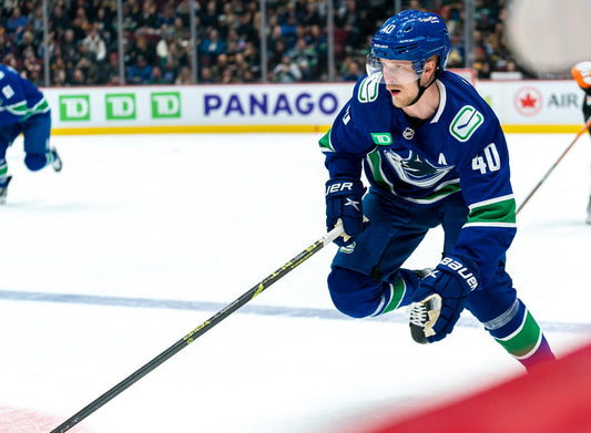 Elias Pettersson Famous USA Hockey Player Poster North America Hockey HD Photo Print - xonomax