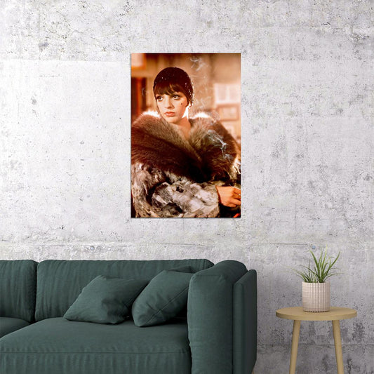 Liza Minnelli 1970s Actress Portrait Hollywood Glamour Icon 1920s Style Wall Art Print - xonomax