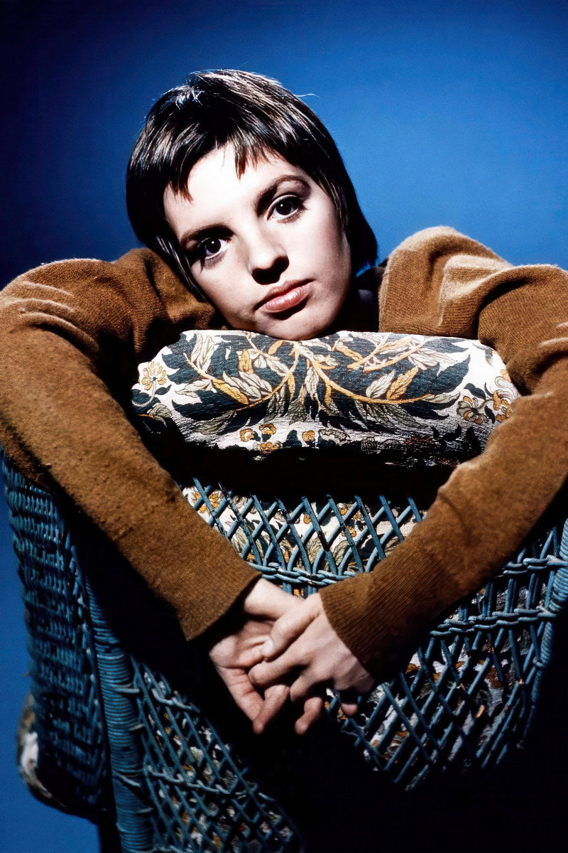 Liza Minnelli Actress 1970s Color Portrait Poster Timeless Hollywood Movie Star Print Broadway Legend Wall Art - xonomax