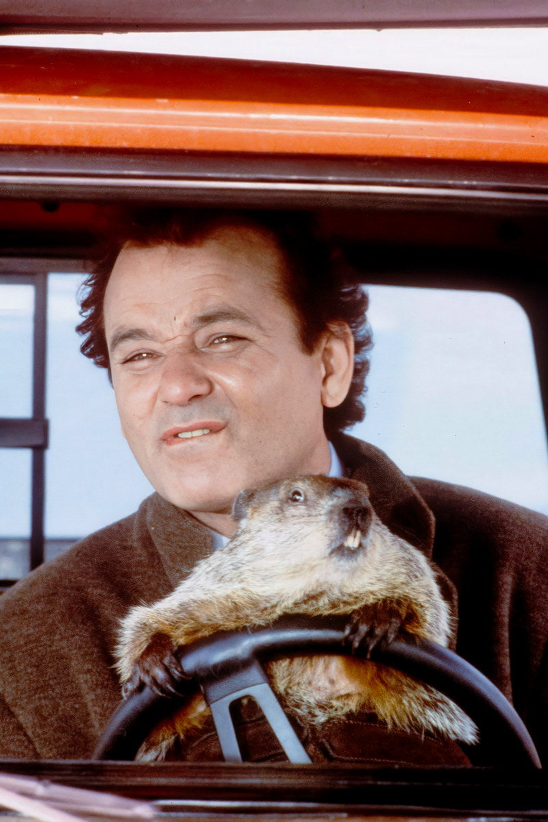 Bill Murray Groundhog Day Movie Poster 1993 Iconic Comedy Film Classic Hollywood Actor Wall Art Print Old Hollywood Aesthetic Wall Decor - xonomax