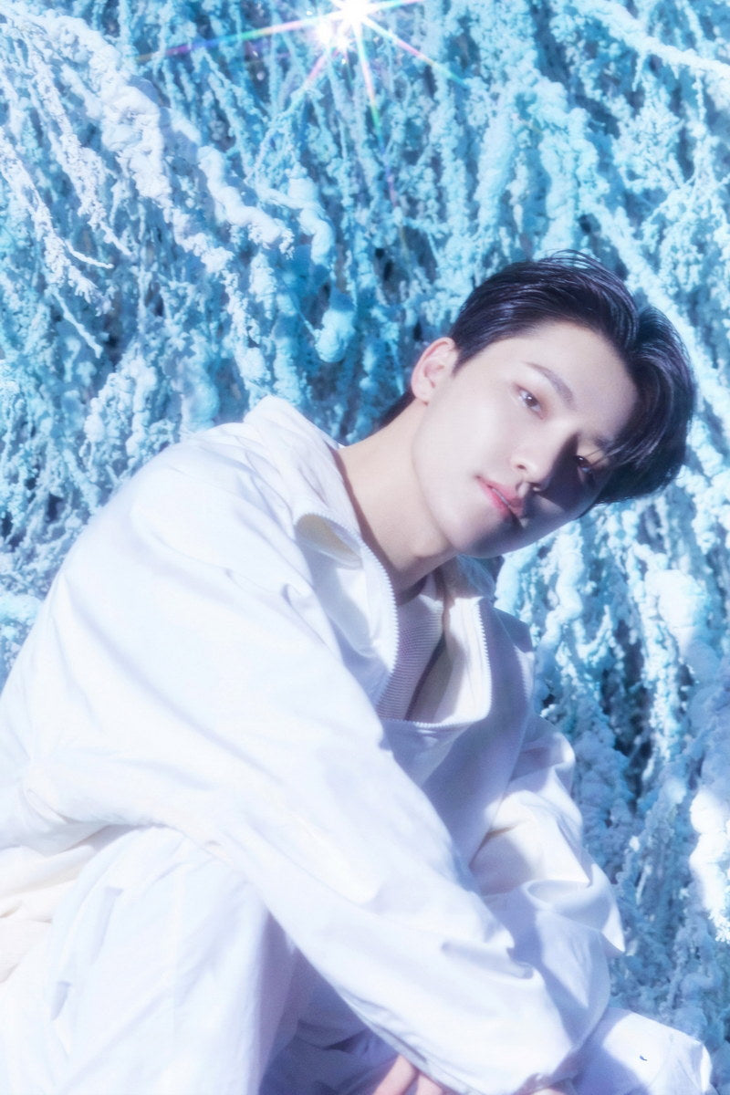 DINO Seventeen SECTOR 17 Concept Photo Music Poster KPop Aesthetic Kpop Male Boys Group Boy Band Trendy Photocard Style for Kpop Fans - xonomax