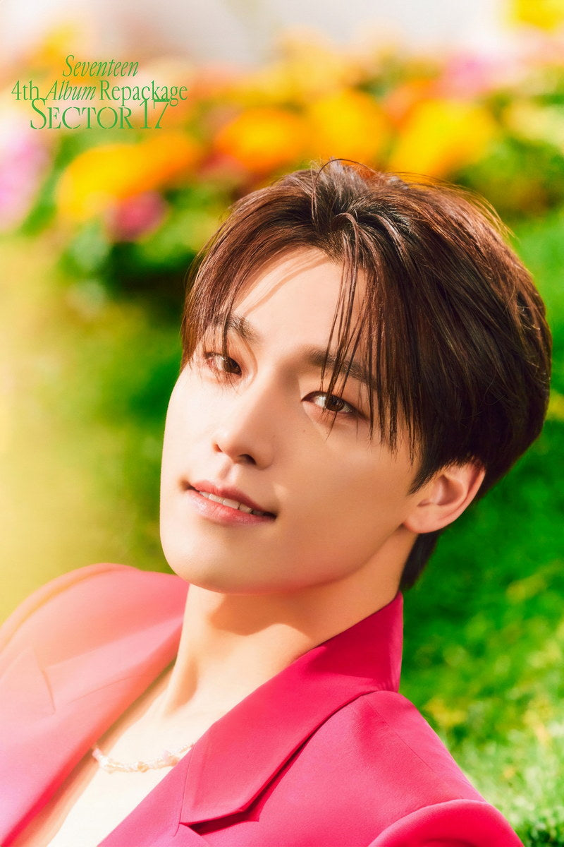DINO Seventeen SECTOR 17 Concept Photo Music Poster KPop Aesthetic Kpop Male Boys Group Boy Band Trendy Photocard Style for Kpop Fans - xonomax