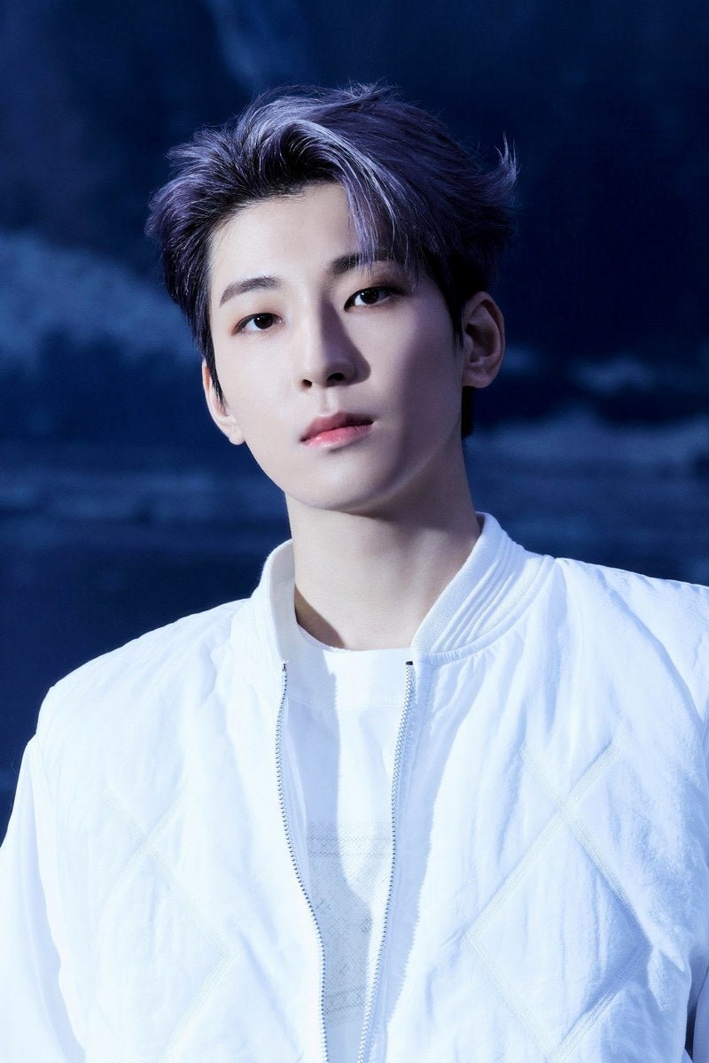WONWOO Seventeen SECTOR 17 Concept Photo Music Poster KPop Aesthetic Kpop Male Boys Group Boy Band Trendy Photocard Style for Kpop Fans - xonomax