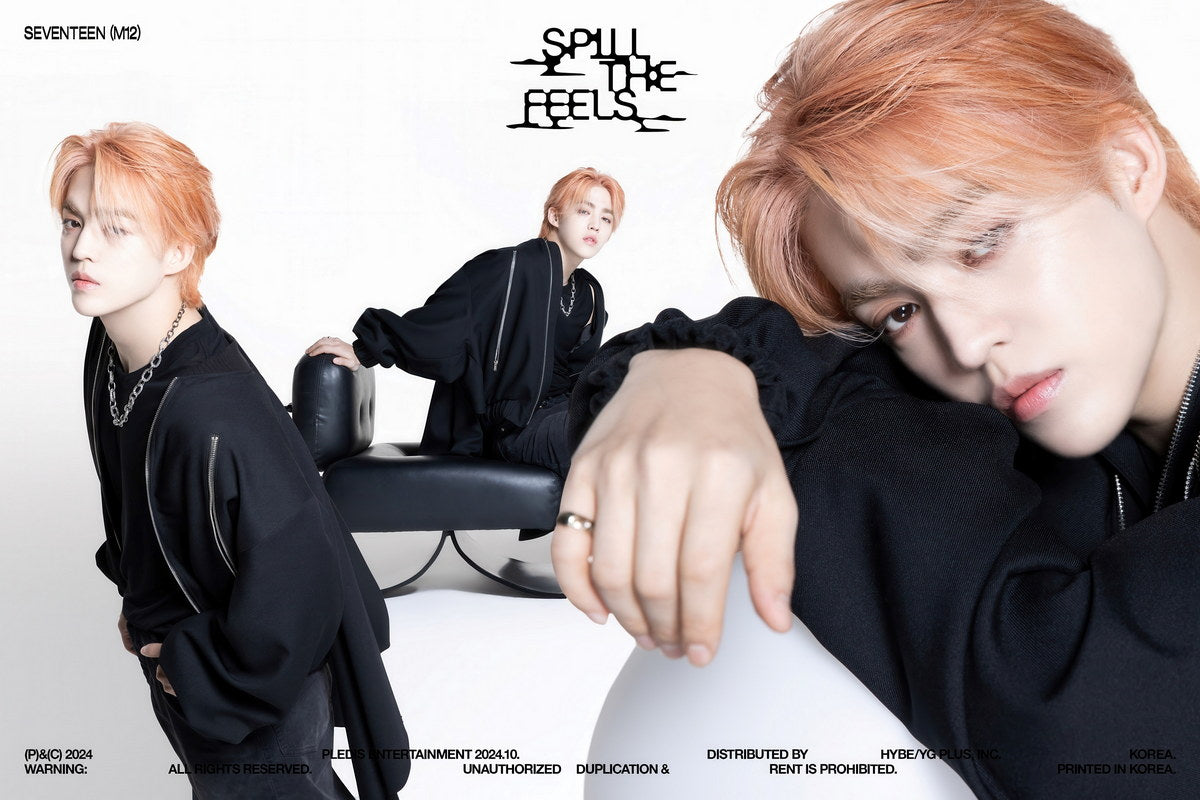 SEVENTEEN S.Coups SPILL THE FEELS Album Concept Photo Music Poster KPop Aesthetic Kpop Male Boys Group Boy Band - xonomax