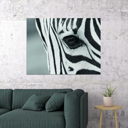 Close-Up Zebra's Eye Animal Art Poster - xonomax