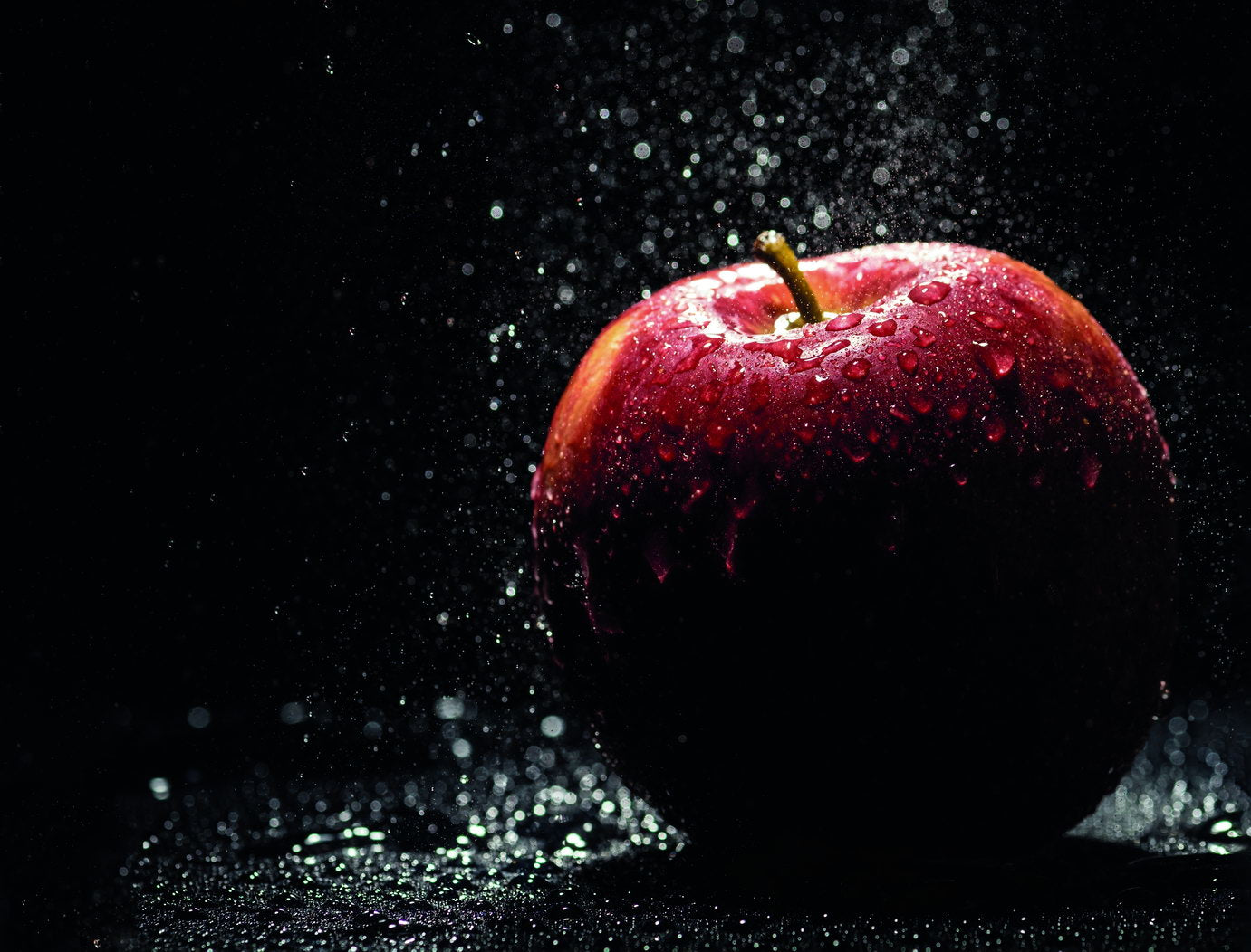 Red Apple with Water Droplets Poster Dramatic Fruit Photography Modern Wall Decor Print - xonomax