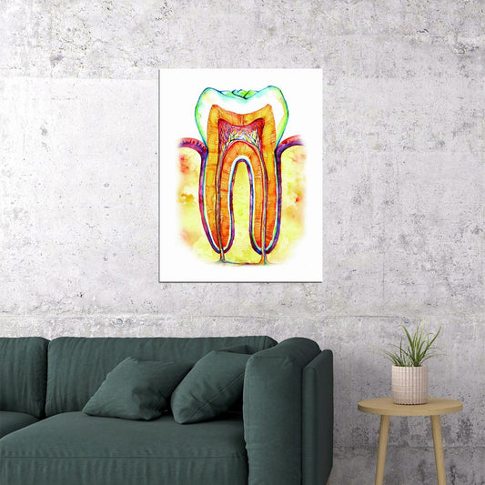 Tooth Cross-Section Art Poster Colorful Educational Wall Decor Anatomy Medical Artistic Style Modern Wall Print - xonomax