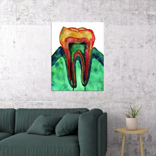 Tooth Anatomy Art Poster Bright and Colorful Educational Wall Decor Medical Artistic Design Unique Wall Print - xonomax