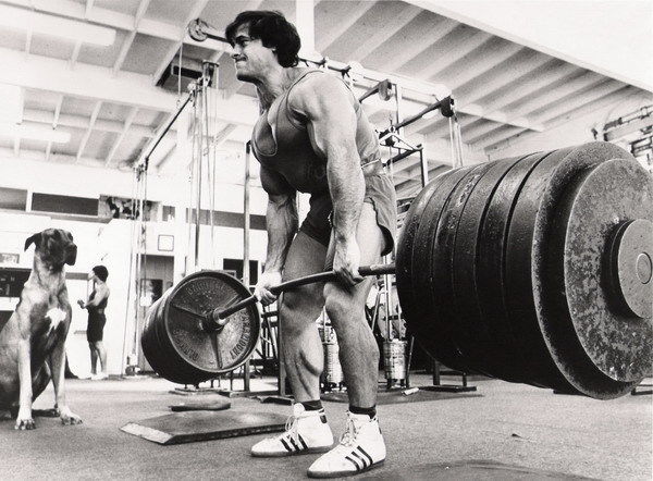 GYM Franco Columbu Body Building Muscle Exerci Wall Print Poster - xonomax