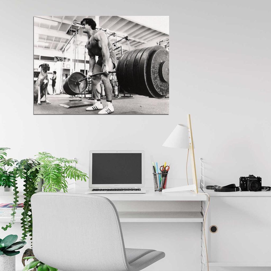 GYM Franco Columbu Body Building Muscle Exerci Wall Print Poster - xonomax