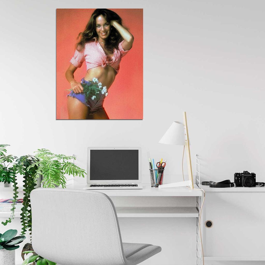 Dukes Of Hazzard TV Show 1979 Catherine Bach Daisy Duke Photo Picture DECOR WALL Print POSTER