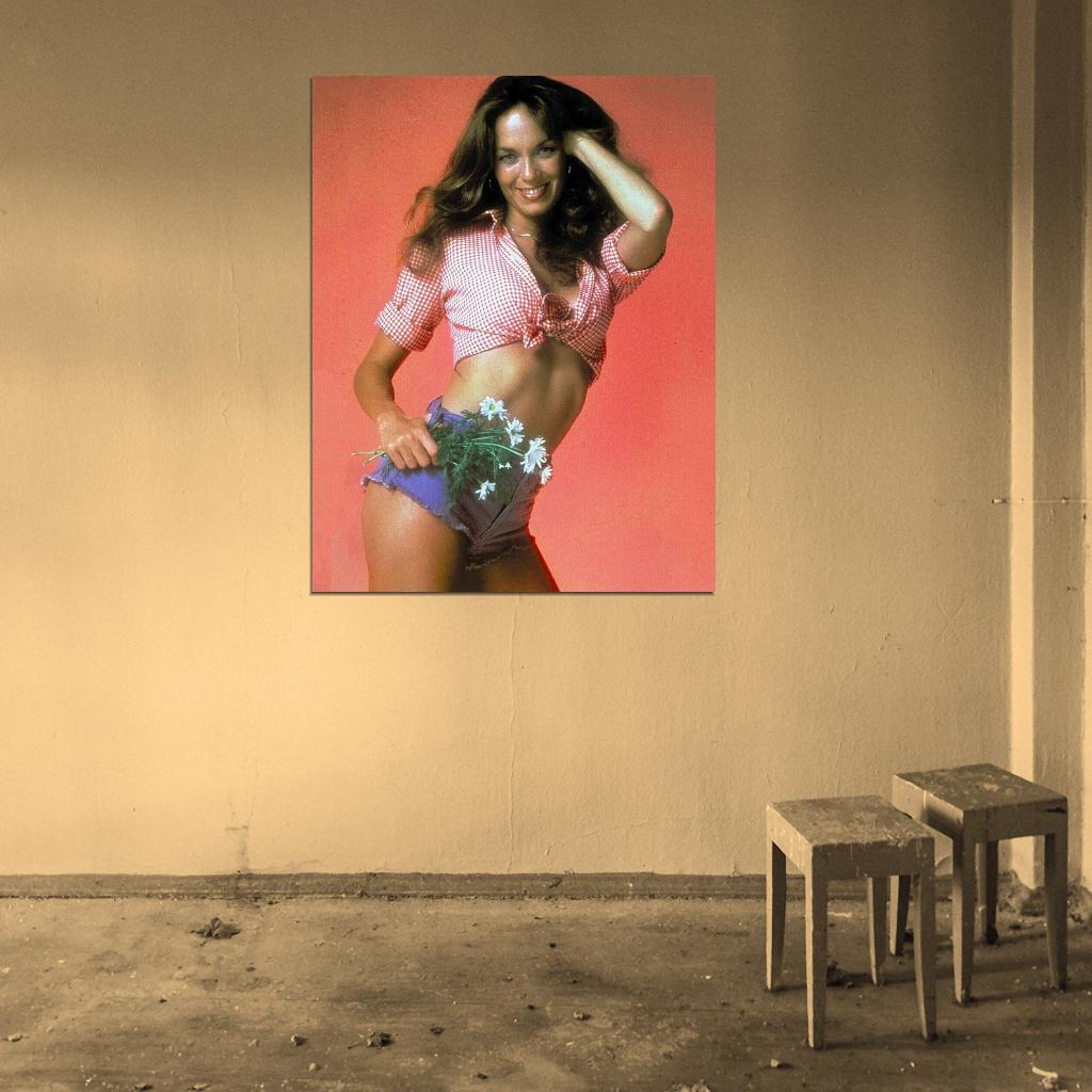 Dukes Of Hazzard TV Show 1979 Catherine Bach Daisy Duke Photo Picture DECOR WALL Print POSTER