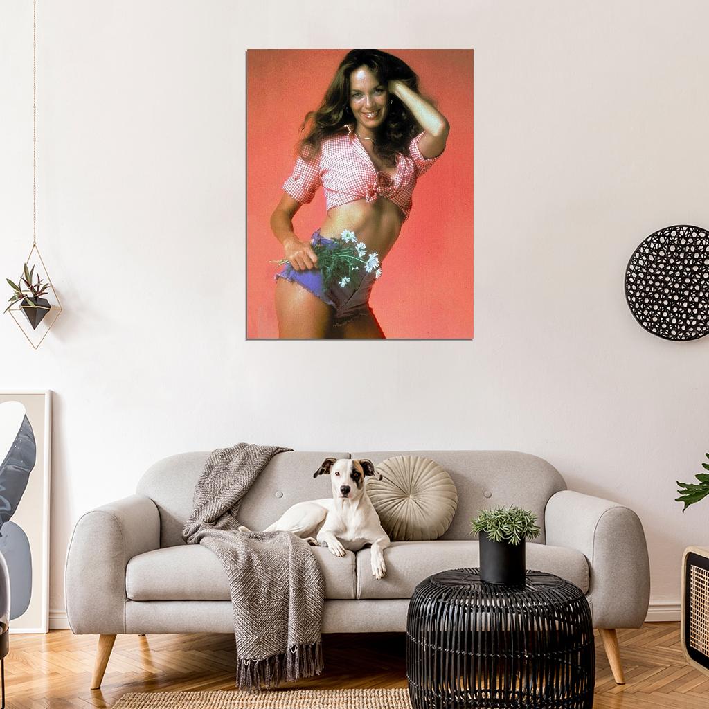 Dukes Of Hazzard TV Show 1979 Catherine Bach Daisy Duke Photo Picture DECOR WALL Print POSTER