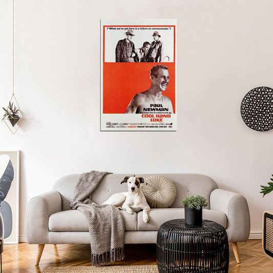 Cool Hand Luke Movie 1967 Paul Newman, George Kennedy Decor Wall Print POSTER - xonomax