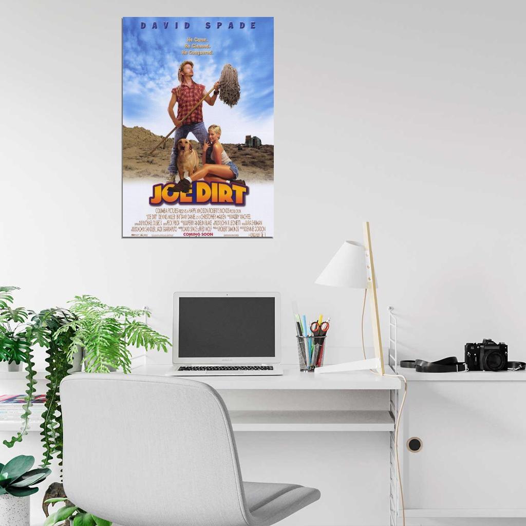 The Adventures of Joe Dirt Movie 2001 David Spade Decor Wall Print POSTER