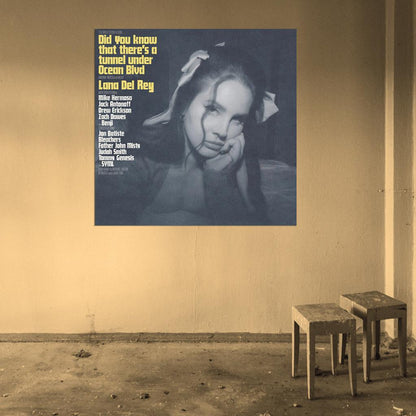 Lana Del Rey "Did you know that there" Cover Print Poster