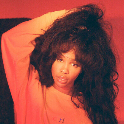 SZA "Shirt" Music Album Song HD Cover Art Poster