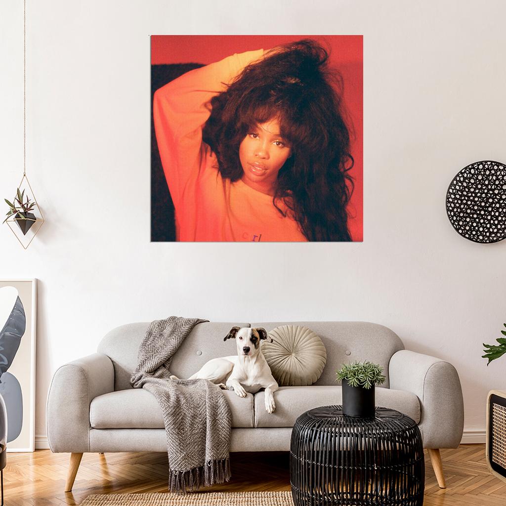 SZA "Shirt" Music Album Song HD Cover Art Poster