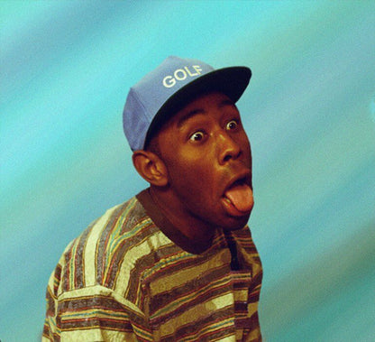 Tyler the Creator Funny Photo HD Cover Art Music Poster