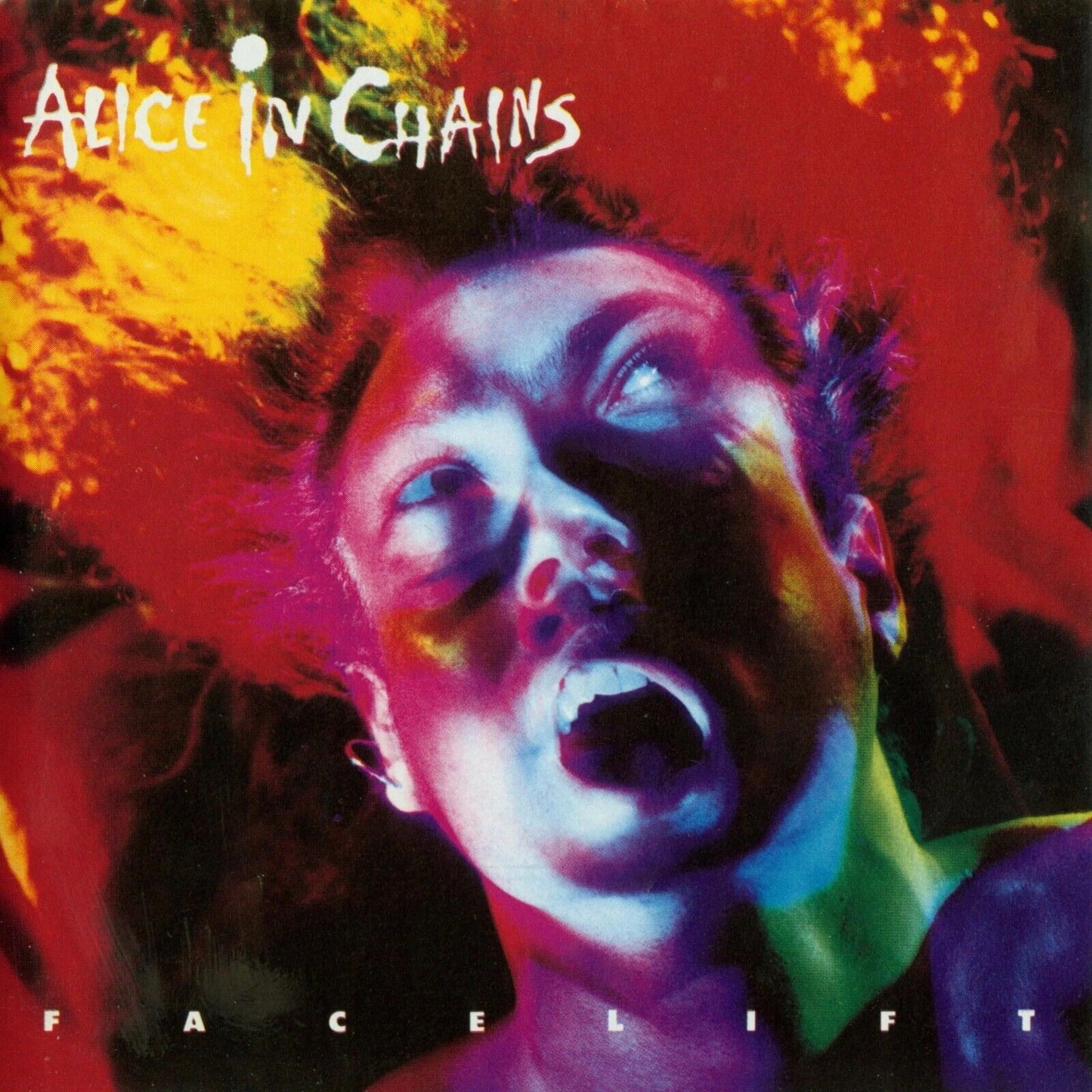 Alice In Chains Facelift Album Cover Art Grunge Music Poster Band Music Print