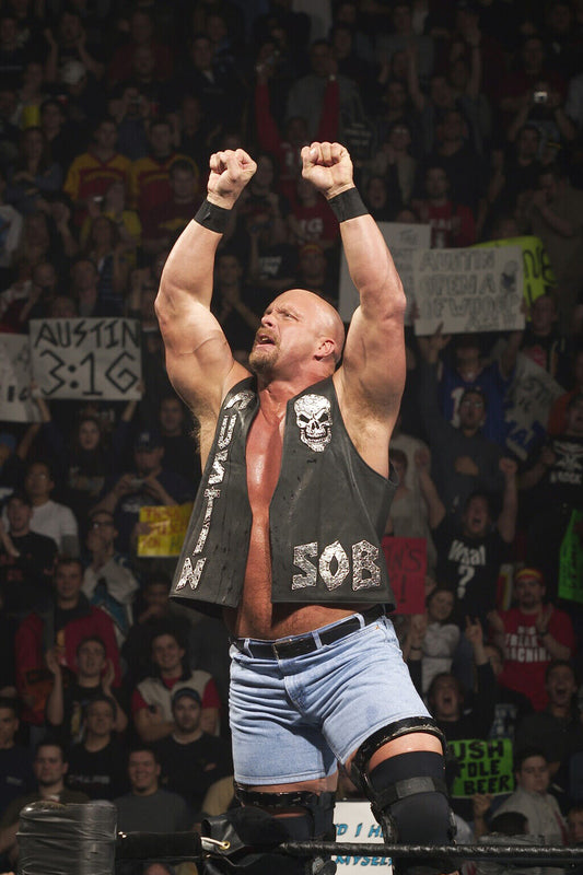 Stone Cold Steve Austin Wrestling Poster Wwe Legend Print