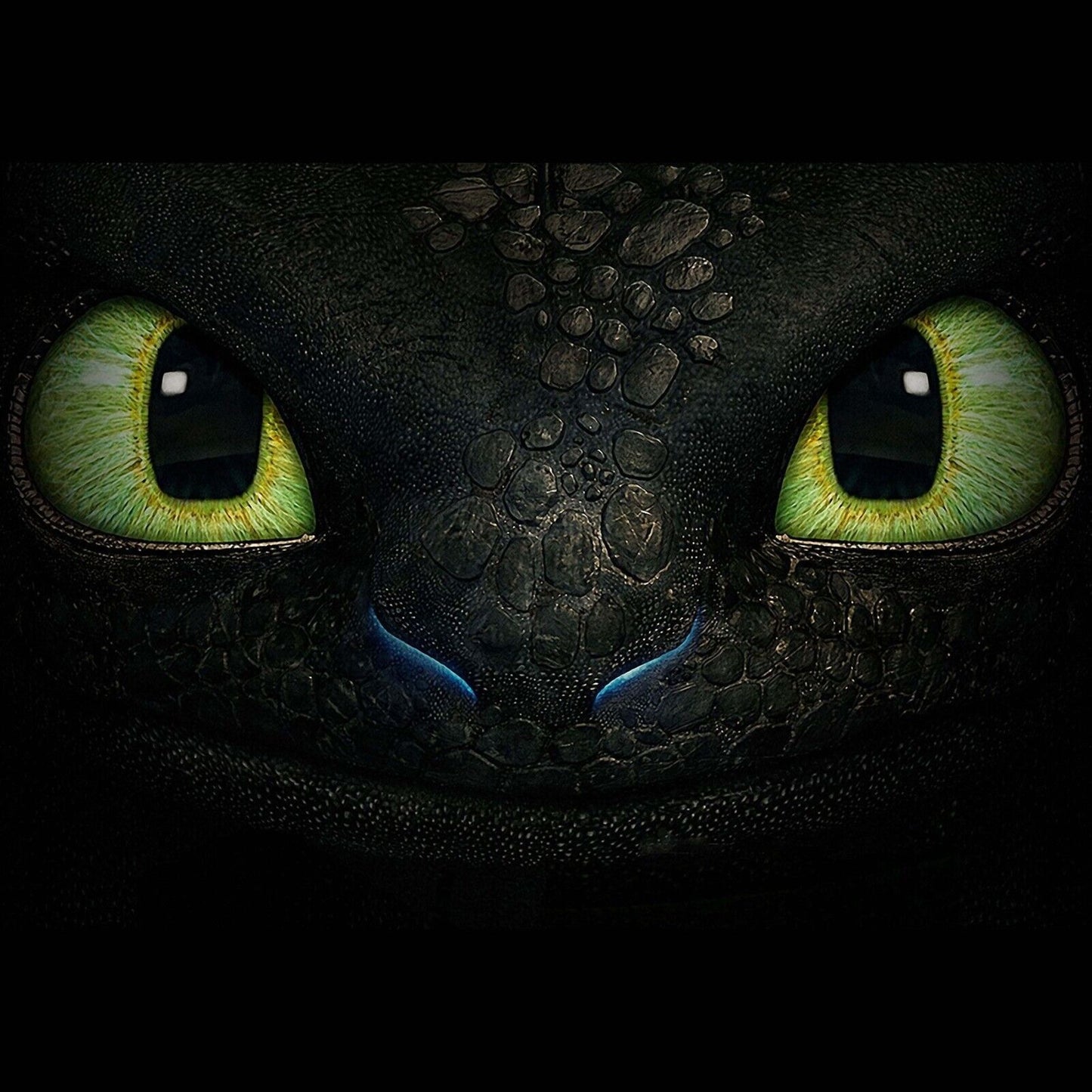 How To Train Your Dragon Movie Poster Dreamworks Animation Fantasy Film Print