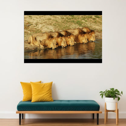 Mapogo Pride Lions Nature Poster Iconic Wildlife Art Print - xonomax