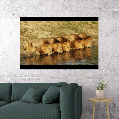 Mapogo Pride Lions Nature Poster Iconic Wildlife Art Print - xonomax