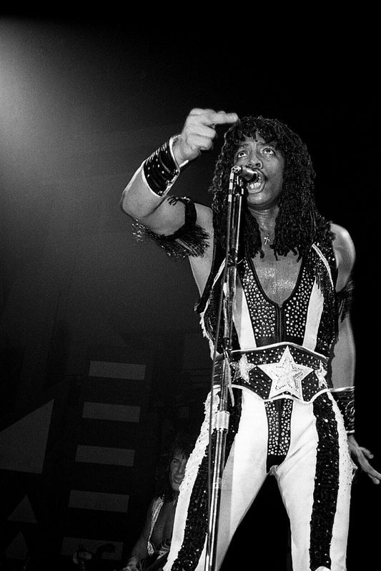 Rick James Music Poster Famous Singer 1980s Wall Print