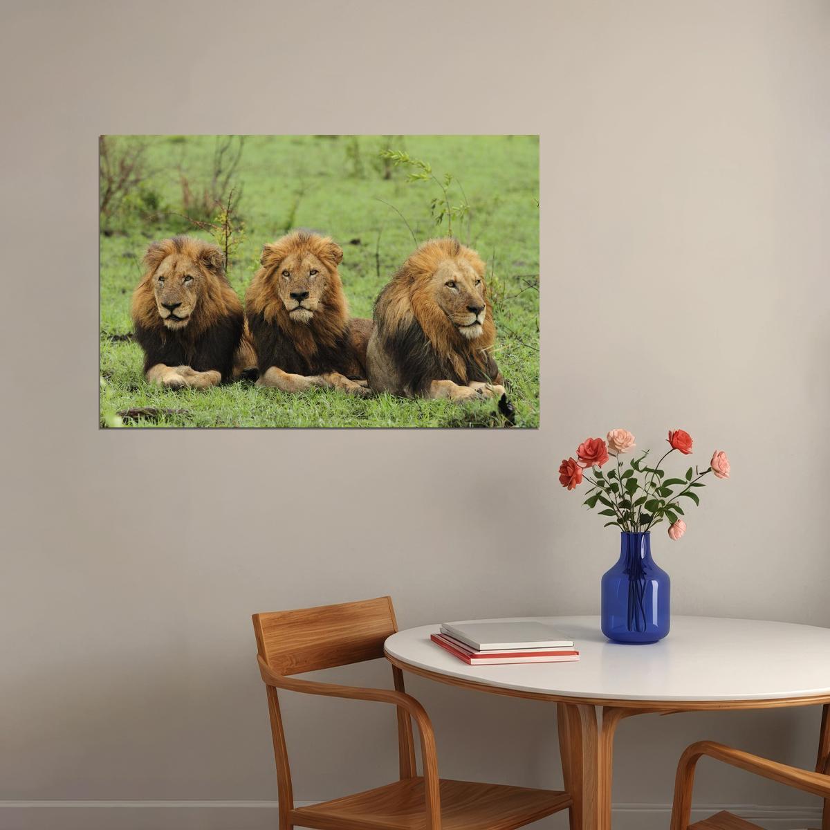 Makhulu Prettyboy Dlock The Mapogo Lions Poster Wildlife Nature Art Wall Print - xonomax