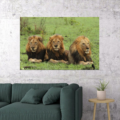 Makhulu Prettyboy Dlock The Mapogo Lions Poster Wildlife Nature Art Wall Print - xonomax