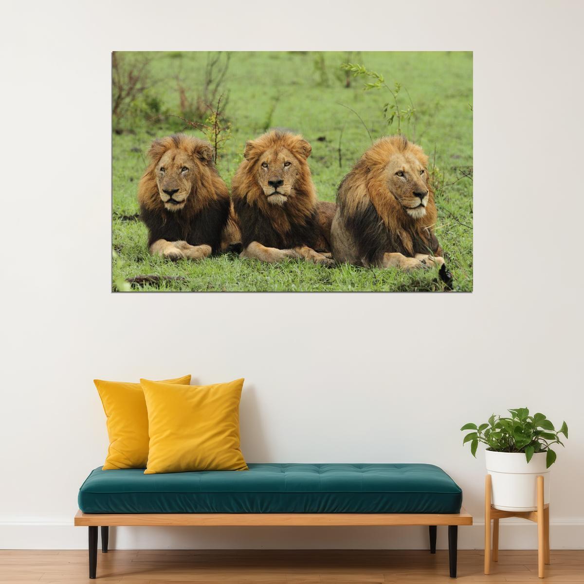Makhulu Prettyboy Dlock The Mapogo Lions Poster Wildlife Nature Art Wall Print - xonomax