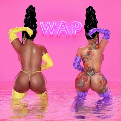 Megan Thee Stallion & Cardi B Wap Album Cover Art Music Poster Rap Wall Print