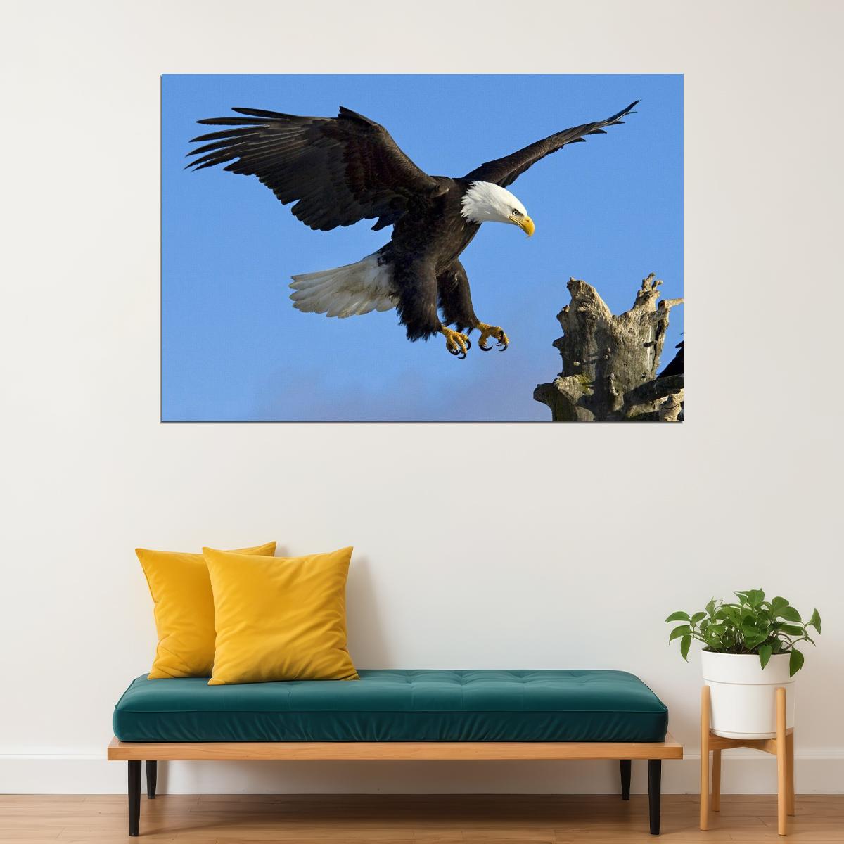 American Bald Eagle Poster National Bird Wall Art Wildlife Photography Print - xonomax