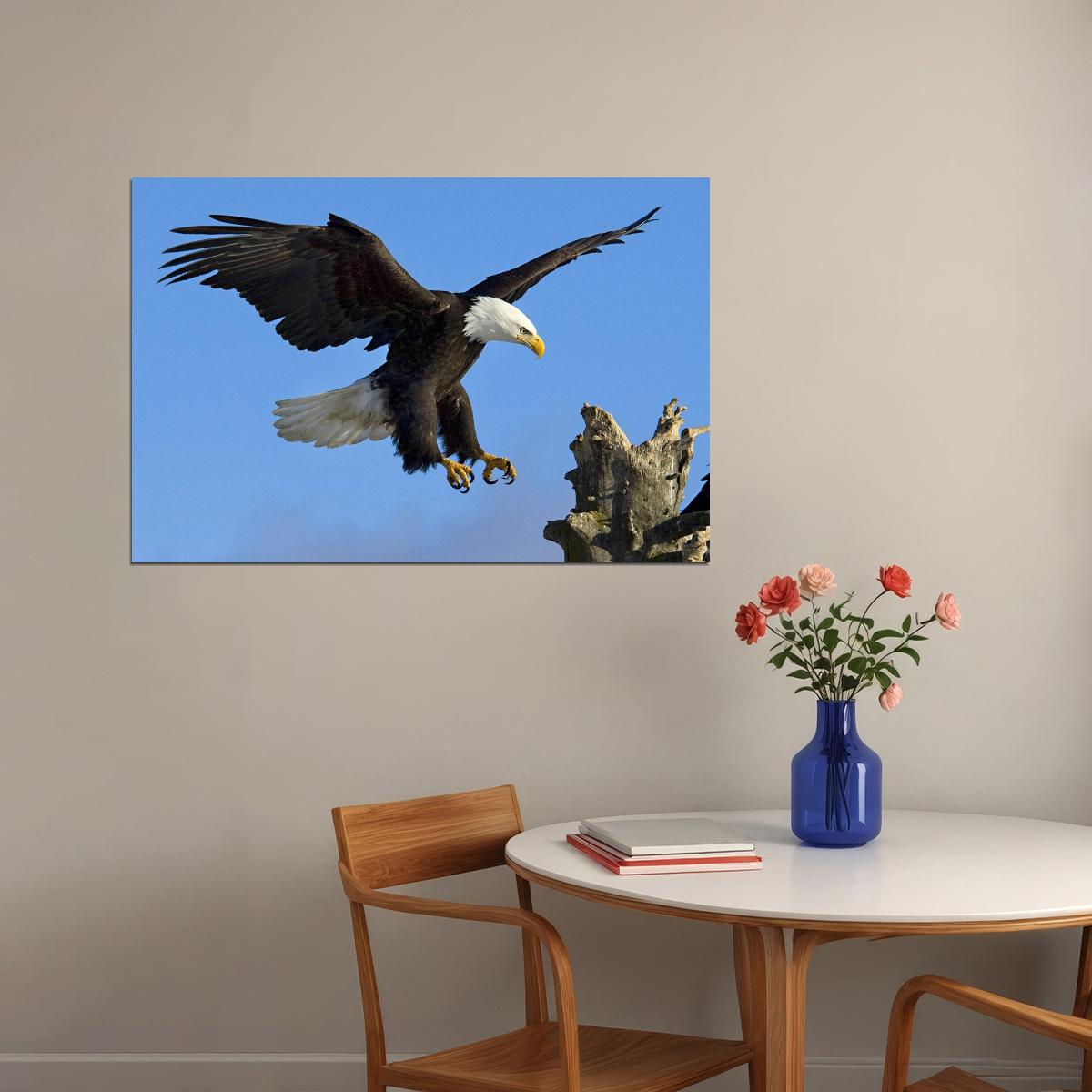 American Bald Eagle Poster National Bird Wall Art Wildlife Photography Print - xonomax