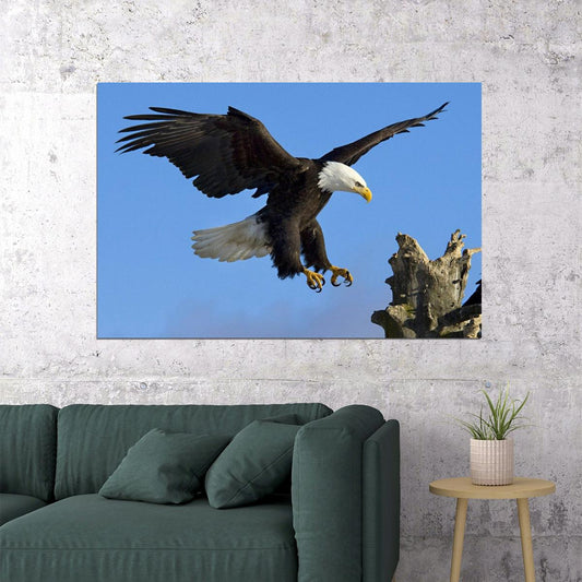 American Bald Eagle Poster National Bird Wall Art Wildlife Photography Print - xonomax