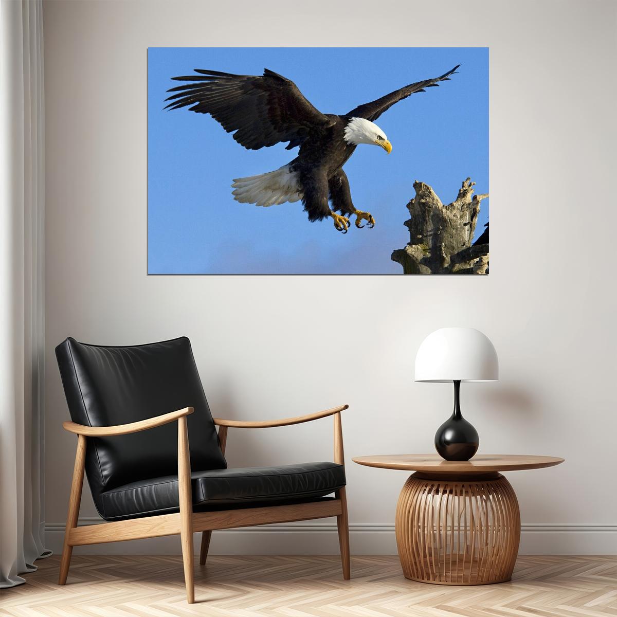 American Bald Eagle Poster National Bird Wall Art Wildlife Photography Print - xonomax