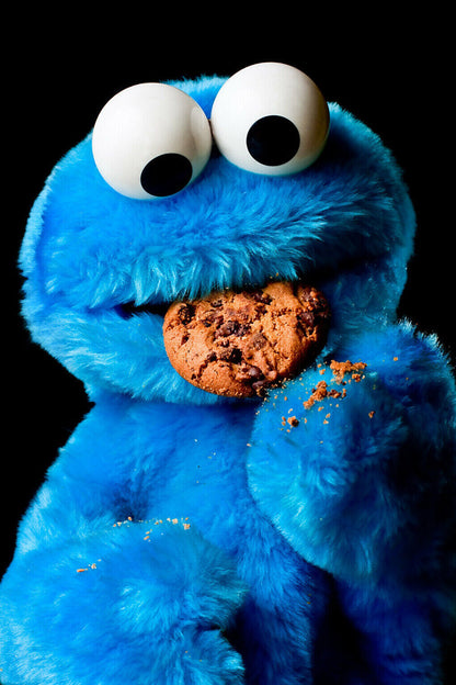 Cookie Monster Kids Poster Sesame Street Character Wall Art Children's Print - xonomax