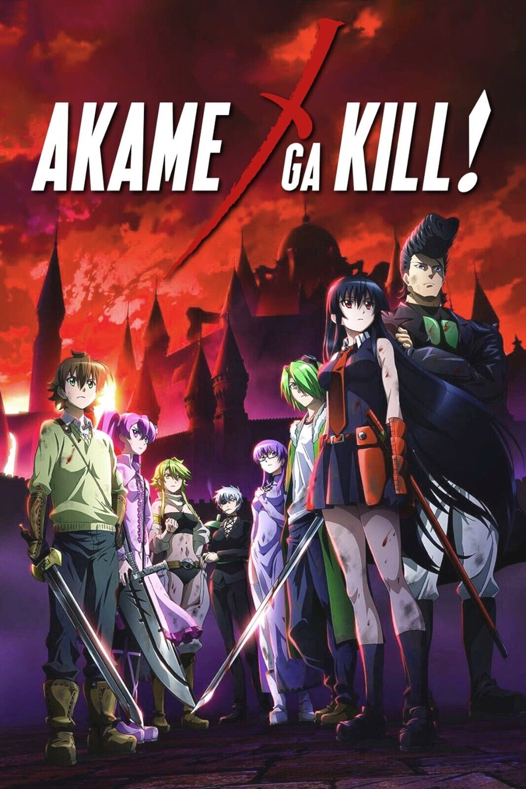 Akame Ga Kill! Anime Poster Japanese Animation Wall Art Manga Series Print